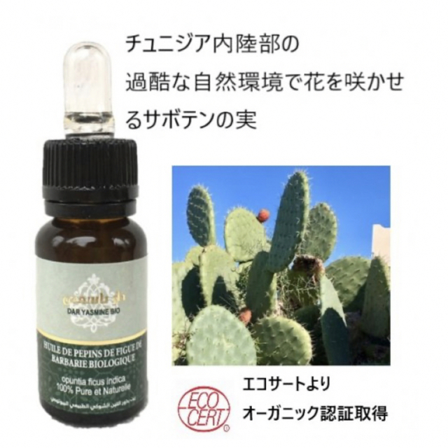 幻のオイル　アンチエイジング　オーガニックサボテンオイル　15ml3本セット