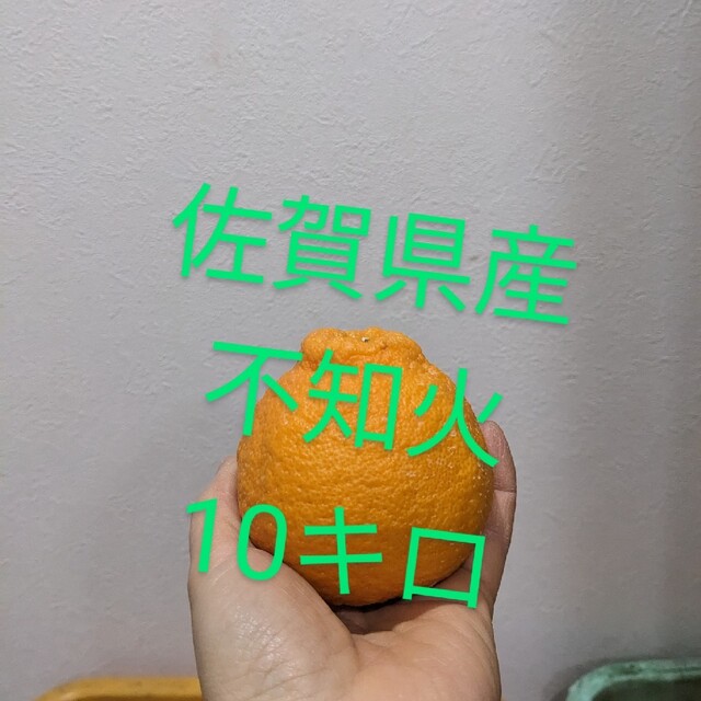 佐賀県産不知火10キロ