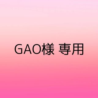 GAO様 専用(その他)