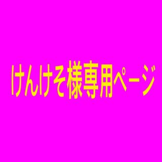 けんけそ様専用ページの通販 by ハンドメイドショップLusherashop|ラクマ