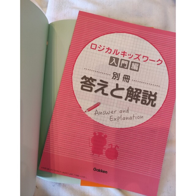 ロジカルキッズワーク　一生使える論理的思考力が身につく！　入門編 学習塾ロジム エンタメ/ホビーの本(語学/参考書)の商品写真