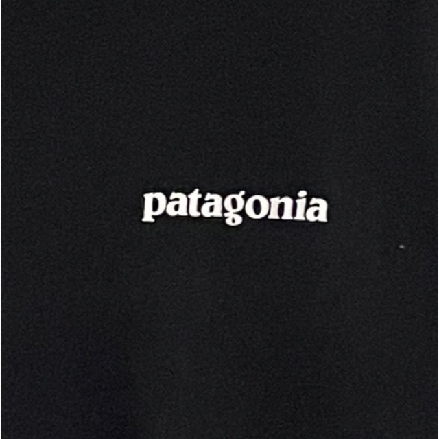 patagonia(パタゴニア)の【即完売モデル】パタゴニア☆バックプリントロゴ入りtシャツ　人気カラー　定番 メンズのトップス(Tシャツ/カットソー(半袖/袖なし))の商品写真