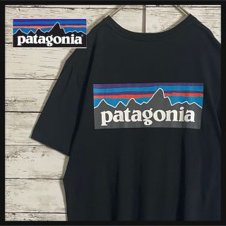 パタゴニア(patagonia)の【即完売モデル】パタゴニア☆バックプリントロゴ入りtシャツ　人気カラー　定番(Tシャツ/カットソー(半袖/袖なし))