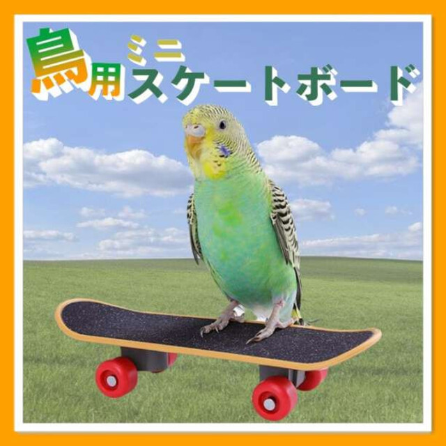 ミニ スケートボード 鳥用 小鳥 バードトイ ストレス解消 玩具 ミニ玩具 ミニ スケートボード 鳥用 小鳥 バードトイ ストレス解消 玩具 ミニ玩具