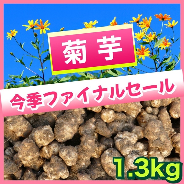 ☆無農薬❗️☆菊芋❗️コンパクトボックス❗️