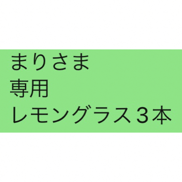 まりさま 専用 レモングラス3本