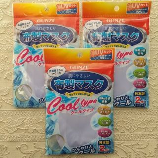 グンゼ(GUNZE)のGUNZE 肌にやさしい 布製マスク 2枚入×3袋セット クールタイプ 日本製(日用品/生活雑貨)