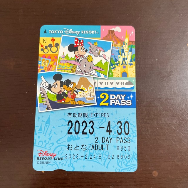 Disney(ディズニー)のディズニーリゾートライン　2day pass チケットの施設利用券(遊園地/テーマパーク)の商品写真