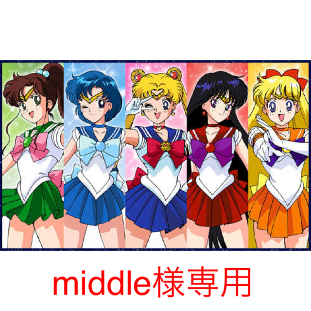middle様専用☆セーラームーン☆なりきりブラセット☆ネプチューン