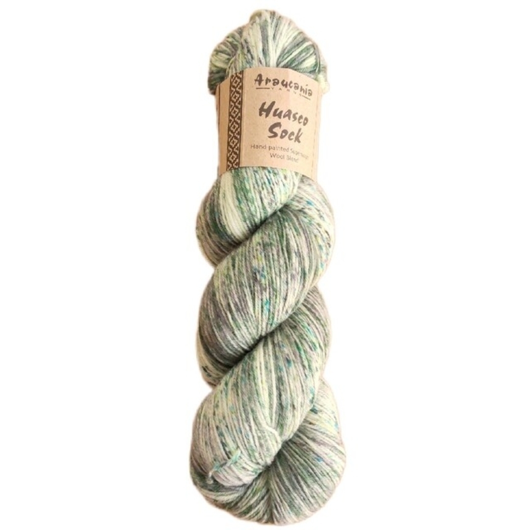 Araucania yarns Huasco sock ソックヤーン　手染め