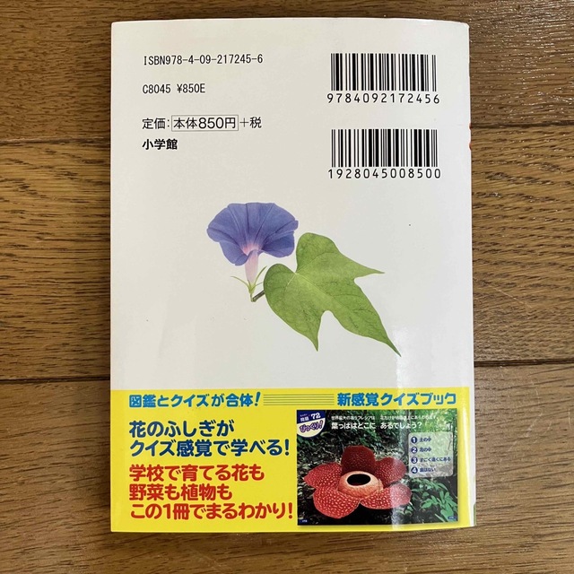 花クイズブック エンタメ/ホビーの本(絵本/児童書)の商品写真