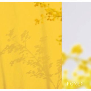 FOXEY - フォクシー ワンピース 替襟付38の通販 by みゆ ...
