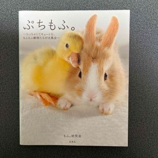 タカラジマシャ(宝島社)のぷちもふ。 ちっちゃくてキュ－トな、もふもふ動物たちが大集合(趣味/スポーツ/実用)