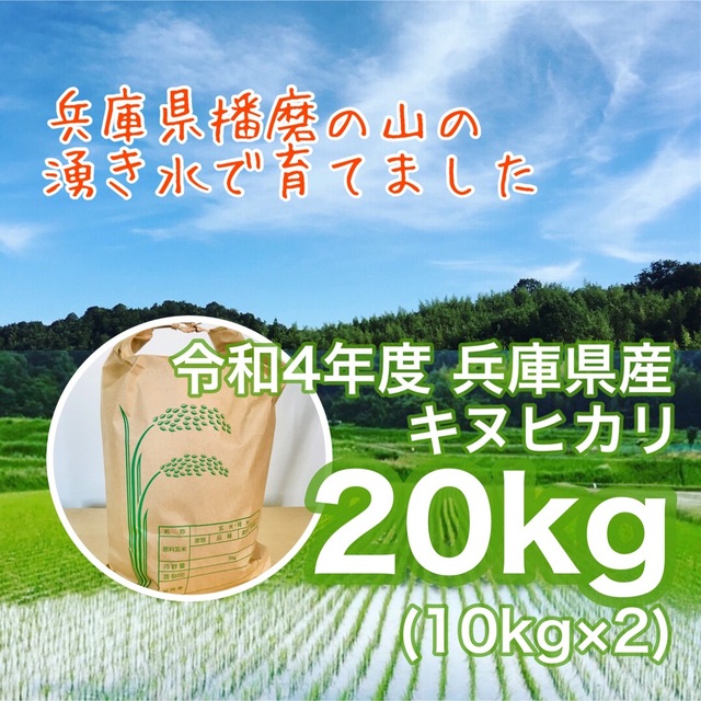山の湧き水で育てた 農家のお米 兵庫県産キヌヒカリ 20kg(10kg×2)新米