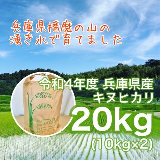 山の湧き水で育てた 農家のお米 兵庫県産キヌヒカリ 20kg(10kg×2)(米/穀物)