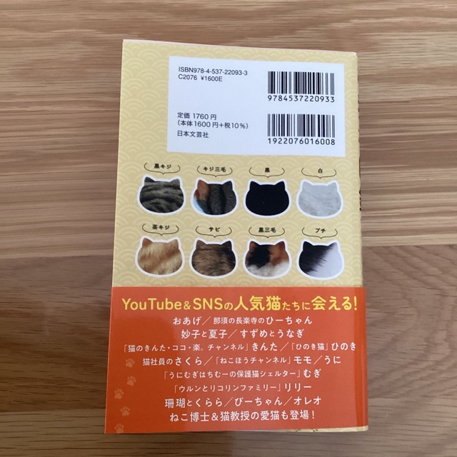 猫柄図鑑 にゃんこの柄のすべてがわかる エンタメ/ホビーの本(住まい/暮らし/子育て)の商品写真