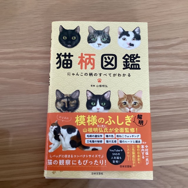 猫柄図鑑 にゃんこの柄のすべてがわかる エンタメ/ホビーの本(住まい/暮らし/子育て)の商品写真