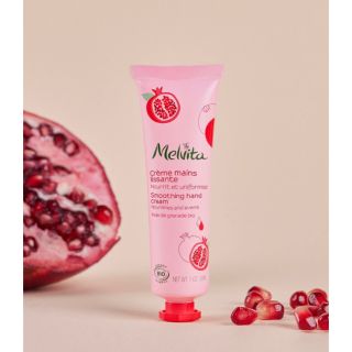 メルヴィータ(Melvita)のMelvita メルヴィータBIOフルーツ ハンドクリーム ザクロ 30ml(ハンドクリーム)