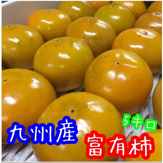 九州産 富有柿  箱込 約5キロ 食品/飲料/酒の食品(フルーツ)の商品写真