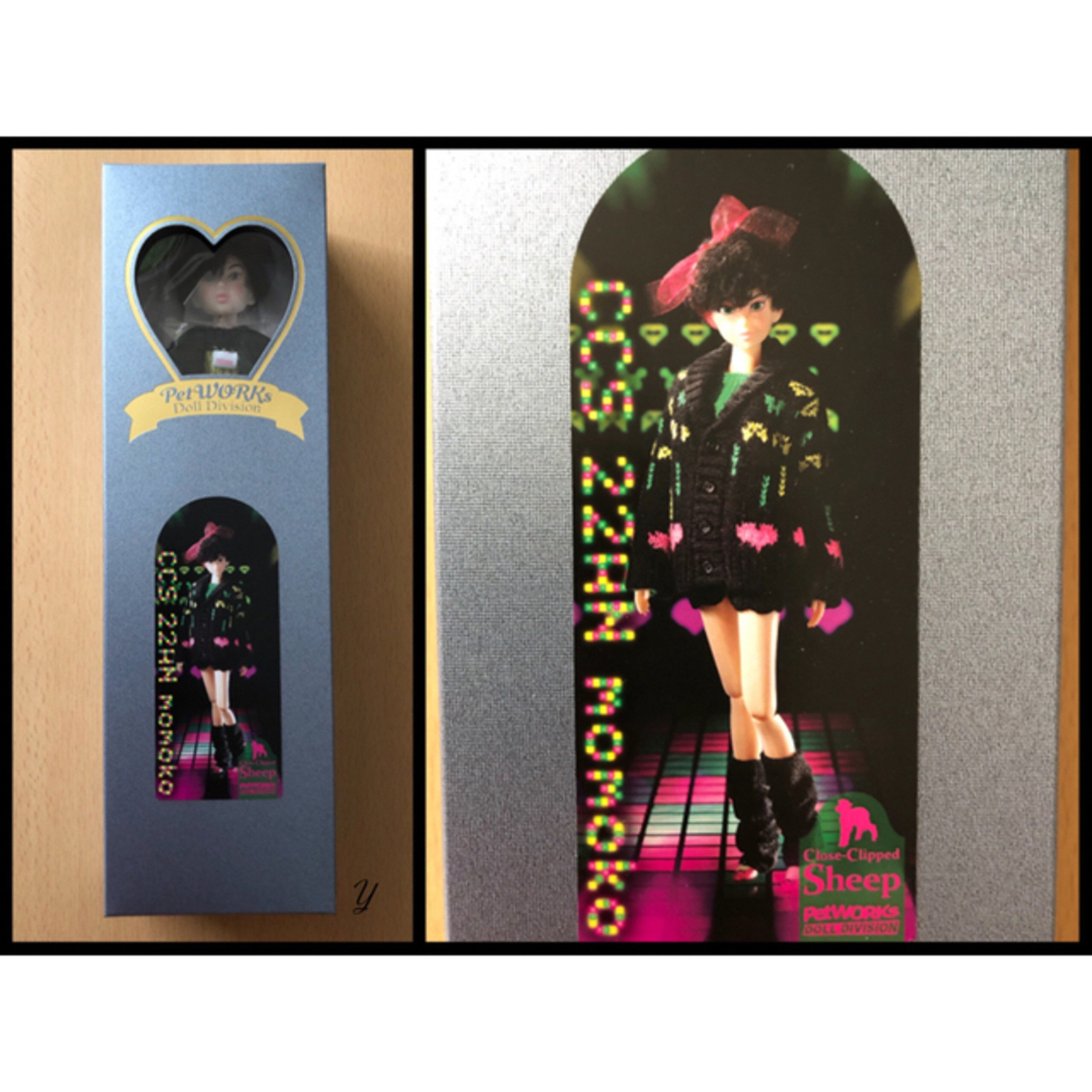 CCS 22AN momoko ドール 正規品販売! alarmstat.com