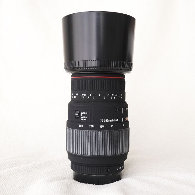 SIGMA - APO 70-300mm F4-5.6 DG MACRO(ペンタックス用)の通販 by 天雅