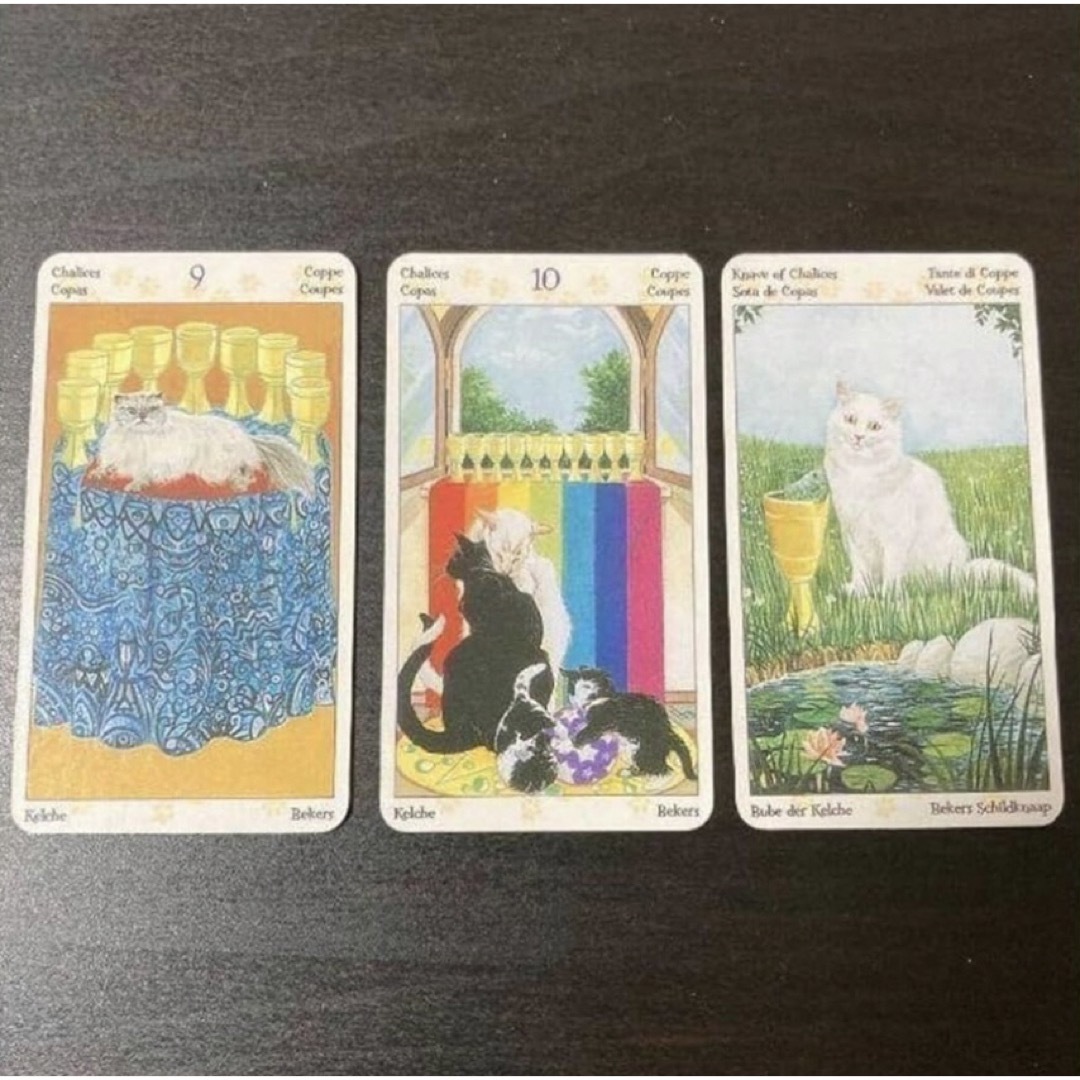 タロット オブ ペイガン・キャッツ　Tarot Of Pagan Cats エンタメ/ホビーのエンタメ その他(その他)の商品写真