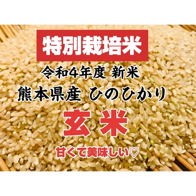 豪華で新しい 熊本県産 ヒノヒカリ胚芽米５キロ 栄誉価抜群 健康食 ...