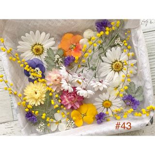 No.43❇︎ドライフラワー花材セット❇︎S❇︎ミモザ(ドライフラワー)