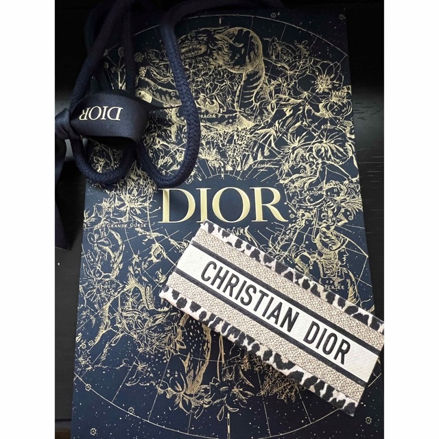 Dior(ディオール)の限定　ディオール　リップケースセット コスメ/美容のメイク道具/ケアグッズ(ボトル・ケース・携帯小物)の商品写真