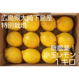 【小玉】無農薬！広島県大崎下島産 特別栽培レモン1キロ(フルーツ)
