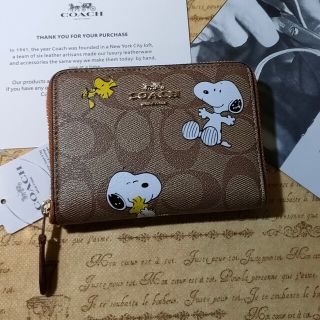 COACH - 【数量限定】 可愛い コーチ スヌーピー ウッドストック 折