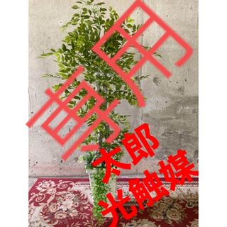 光触媒　人工観葉植物　ウォールグリーン　フェイク　フラワー　ゴールデンリーフ12(置物)