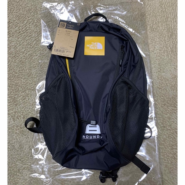 THE NORTH FACE - 【lococo様専用】ノースフェイス ラウンディ 22L