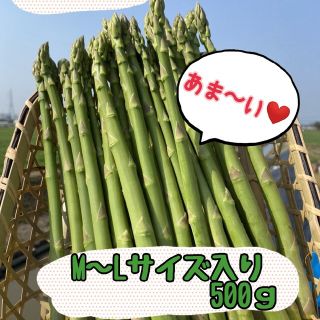 グリーンアスパラガス500g(野菜)