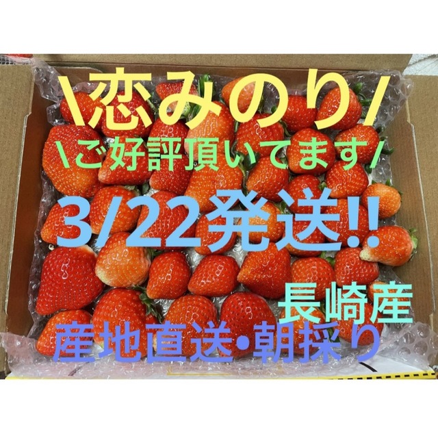 3/22発送!!【長崎産】恋みのり いちご4 食品/飲料/酒の食品(フルーツ)の商品写真