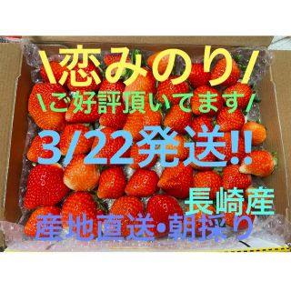 3/22発送!!【長崎産】恋みのり いちご4(フルーツ)