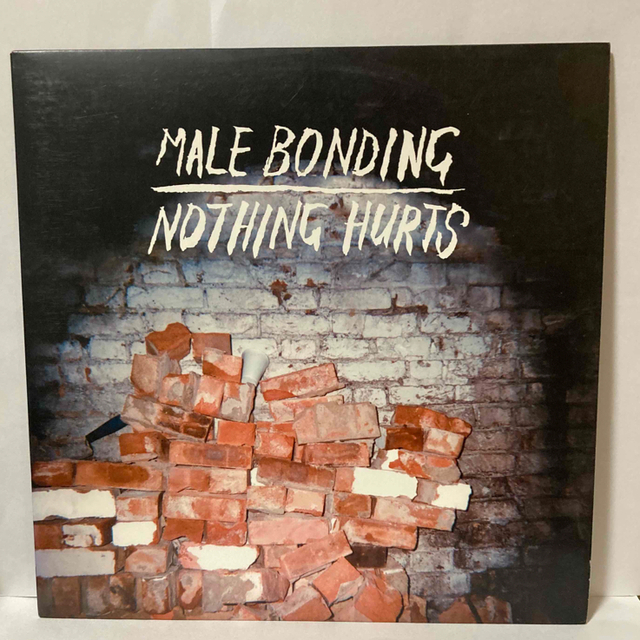 MALE BONDING / NOTHING HURTS 12インチレコード エンタメ/ホビーのエンタメ その他(その他)の商品写真