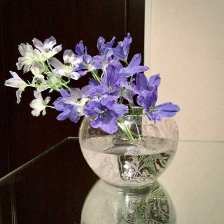 Baccarat - レア希少☆オールドバカラBaccaratフジェール Baccarat - レア希少☆オールドバカラBaccaratフジェール