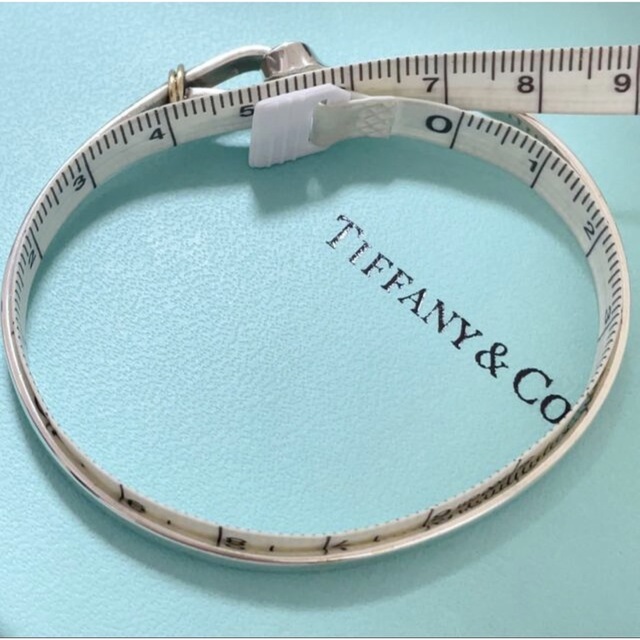 希少廃盤TIFFANY&Co. ティファニーバンブーピアスラージサイズ