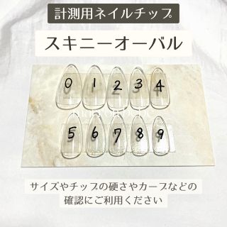 【スキニー オーバル】計測用 ネイルチップ