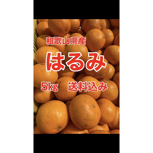 和歌山県産　はるみ　5㎏　家庭用　送料込み 食品/飲料/酒の食品(フルーツ)の商品写真