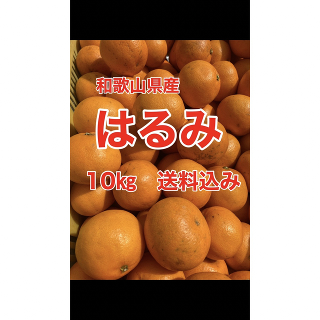 和歌山県産　はるみ　10㎏　家庭用　送料込み 食品/飲料/酒の食品(フルーツ)の商品写真