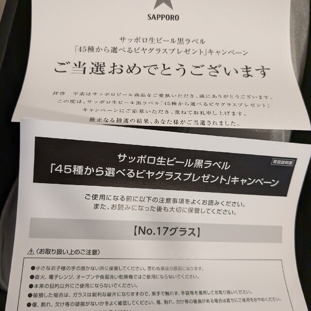 和風 サッポロ黒ラベル キャンペーン当選品【 NO.17グラス】2個セット