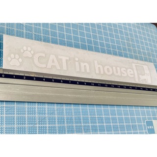 CAT IN HOUSE キャット　イン　ハウス5（色変更可能）(猫)