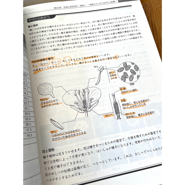 最新版 4科目 日能研 6年 テキスト 教科書 本科 栄冠 前期 2022 最新版 4科目 日能研 6年 テキスト 教科書 本科 栄冠 前期 2022