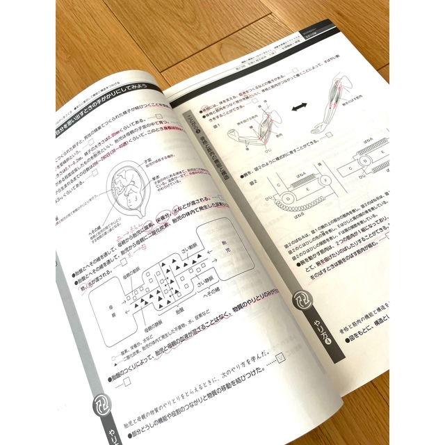 最新版 4科目 日能研 6年 テキスト 教科書 本科 栄冠 前期 2022 最新版 4科目 日能研 6年 テキスト 教科書 本科 栄冠 前期 2022