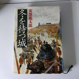 冬を待つ城(文学/小説)