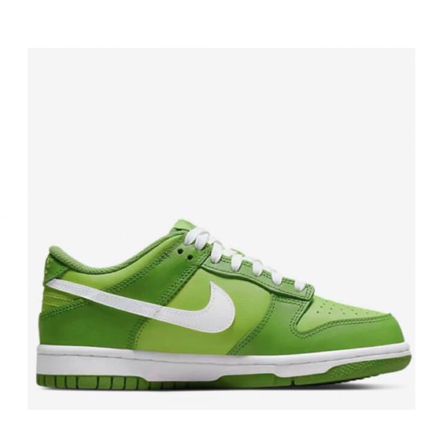 Nike Dunk Low Kermit Chlorophyll ダンク品番DJ6188-300