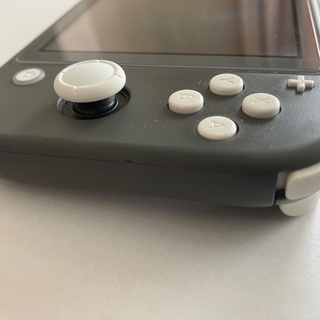 ニンテンドースイッチ(Nintendo Switch)のNintendo Switch Lite グレー(携帯用ゲーム機本体)