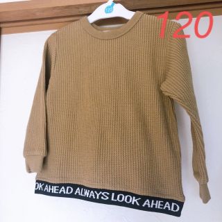 Branshes - radchap 120 ワッフルニット